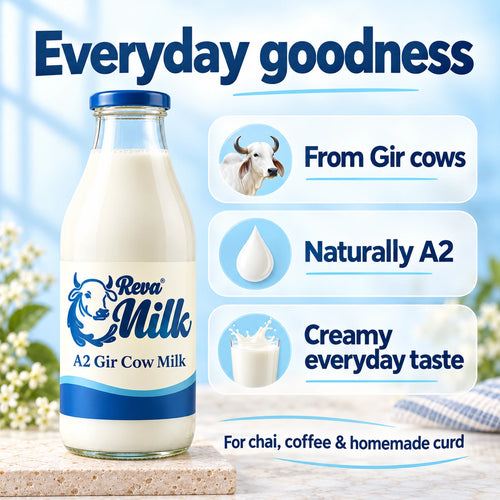 Reva Milk A2 Gir Cow Milk benefits: from Gir cows, naturally A2 and creamy everyday taste