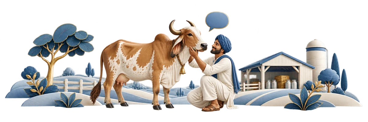 A farmer caring for a Gir cow at a welcoming dairy farm